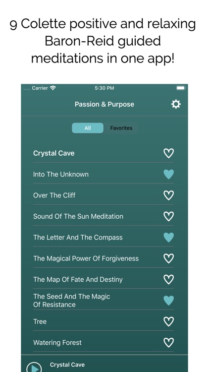 Passion & Purpose Meditations