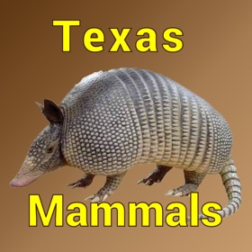 Screenshots (5) Texas Mammals
