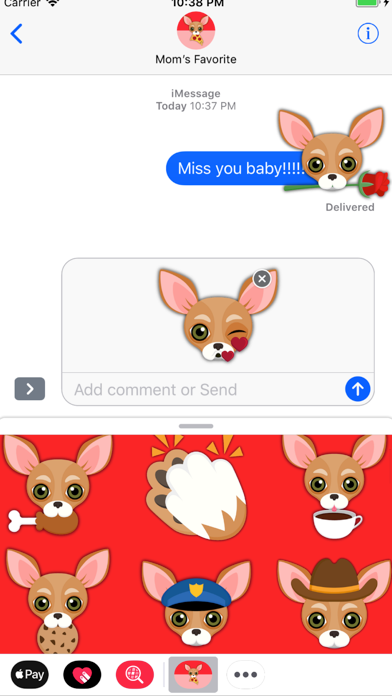 Tan Chihuahua screenshot