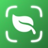 What Plant Is This° Plantasti icon