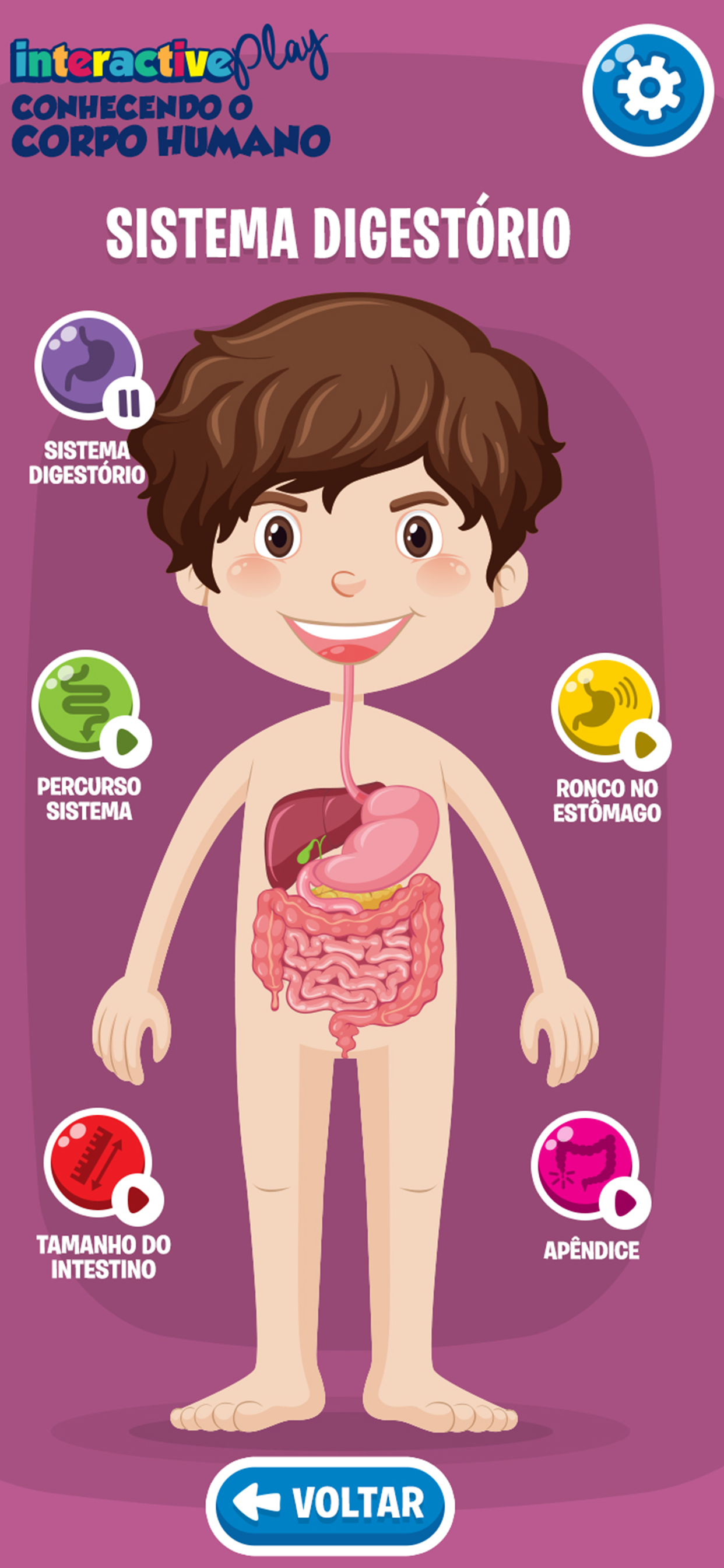 Conhecendo o Corpo Humano
