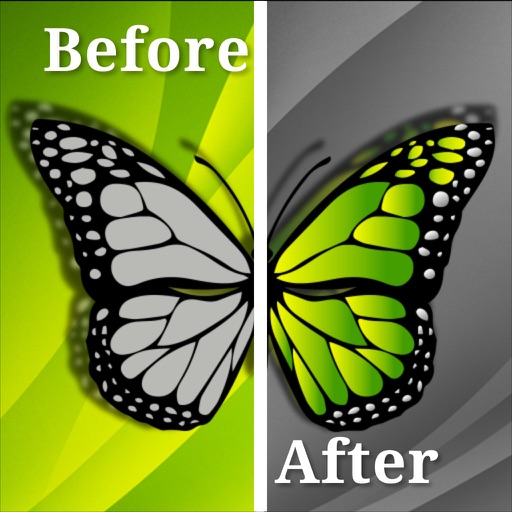 Compare photo Before and After - AppWisp.com