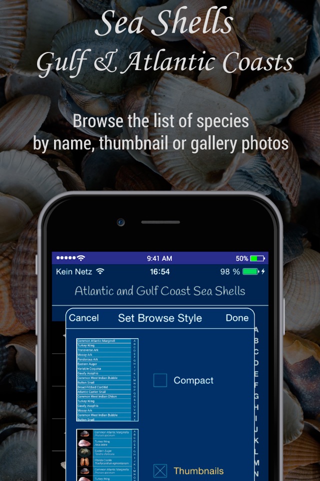 Gulf and Atlantic Sea Shells screenshot 2