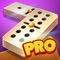 No matter where you go, you can play Dominoes Pro on your smartphone or tablet