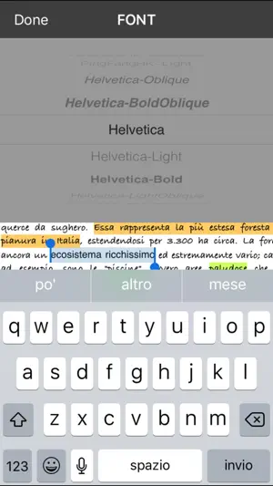 iWord PRO screenshot 4