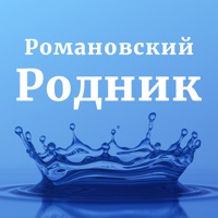 Романовский родник Калининград logo