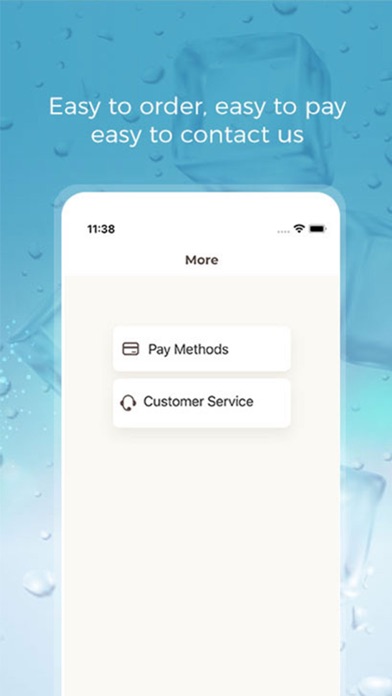 Home City Ice Screenshot