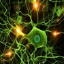 Get College Biology Quiz for iOS, iPhone, iPad Aso Report