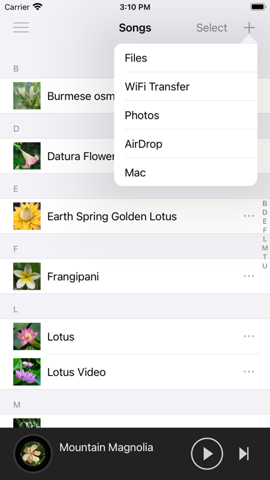 LoveMusic Player - Local Play Screenshot