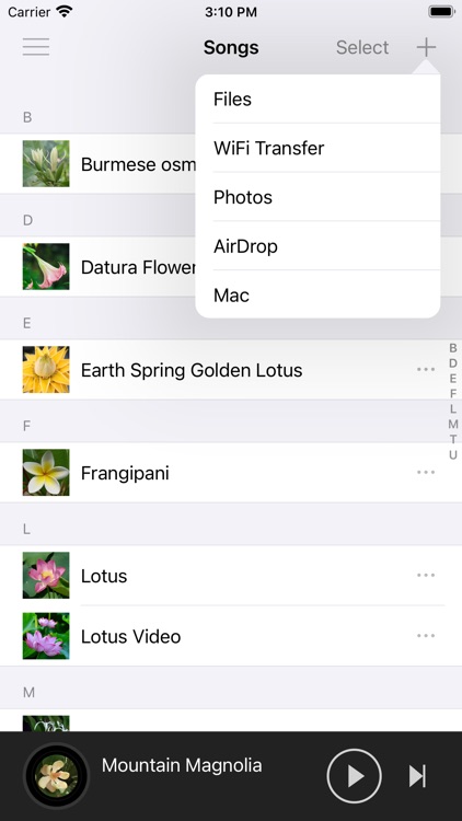LoveMusic Player - Local Play screenshot-6
