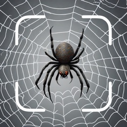Arachnid Identifier: Spider ID