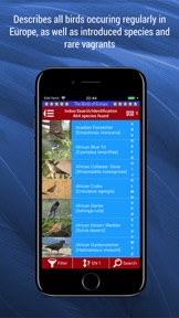 Birds of Europe screenshot