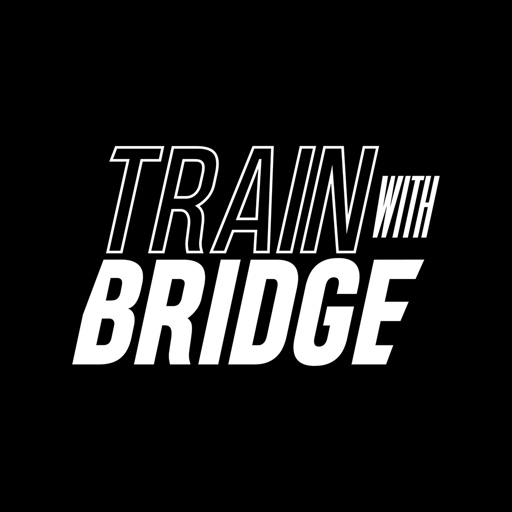 Train With Bridge