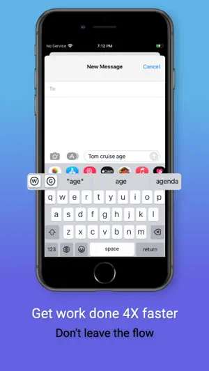 Search & Wiki Paste Keyboard screenshot 2