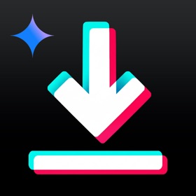 Snaptik : Video Saver