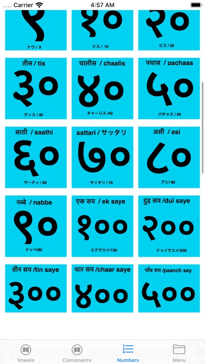 Nepali Phrase screenshot-5