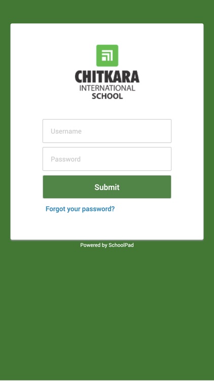 Chitkara International School