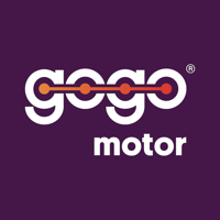 GoGo Motor