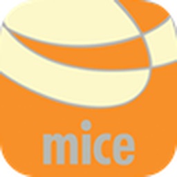 MiceVacations