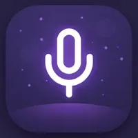 One Minute Voice Journal