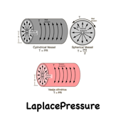 LaplacePressure