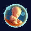 Pregnancy Calculator : Mia icon