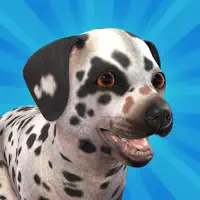Pocket Paws: My lovely dogs