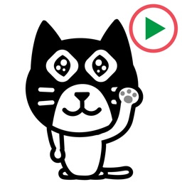 Maru Cat 2 Animation Sticker