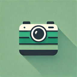 Camera Stacks