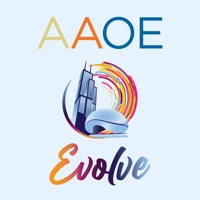 AAOE 24