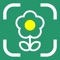 Flower Identifier: ID Scanner