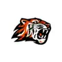 Howland Local Tigers, OH