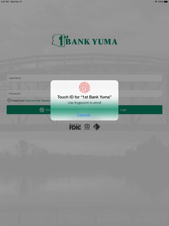 IBY Powered by OneAZ iPad screenshot 2 - Finance app