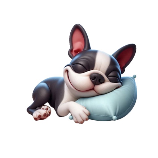 Sleeping Boston Terrier