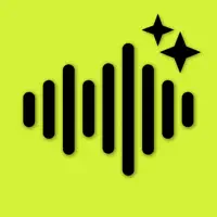 Noise Reducer & Recorder