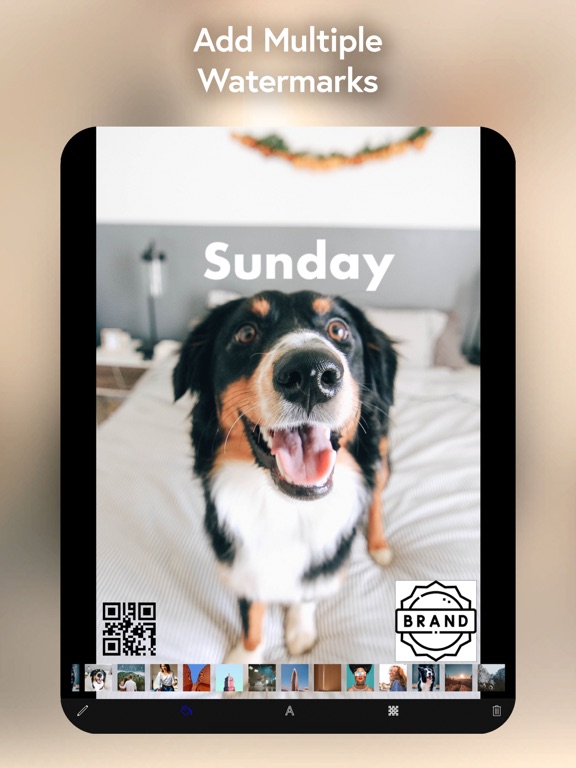 Watermark・Add Text on Photo iPad screenshot 4 - Graphics & Design app