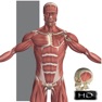 Get Visual Anatomy for iOS, iPhone, iPad Aso Report