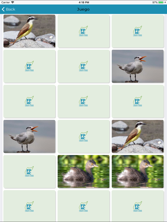 Aves de Cozumel iPad screenshot