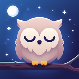 Sleeping Owl – Mindful Sleep