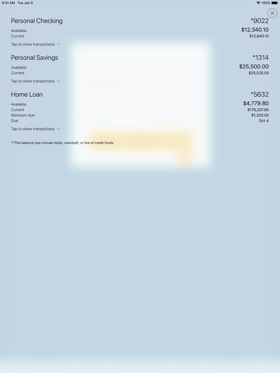 Screenshot #4 pour Provident Bank®