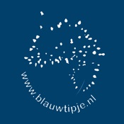 Dutch Nudibranchs - Blauwtipje