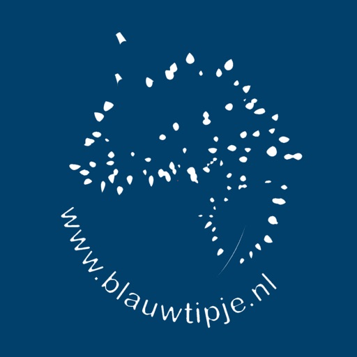 Dutch Nudibranchs - Blauwtipje