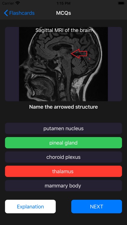 First FRCR Anatomy screenshot-5