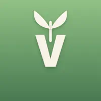 Verbena