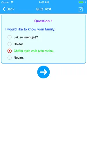 Learn Czech Easy Offline screenshot 4