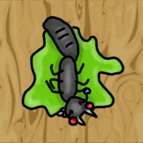 Ant Squash icon