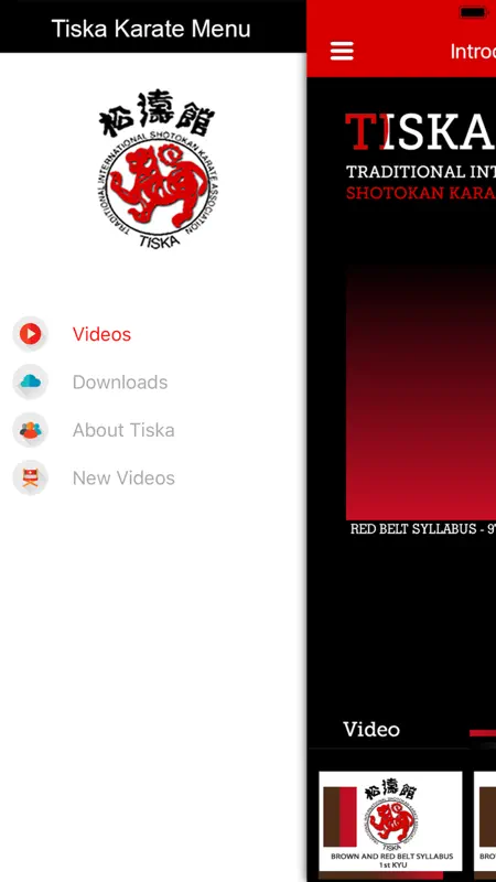 Beginner to Black Belt screenshot 1 of 5