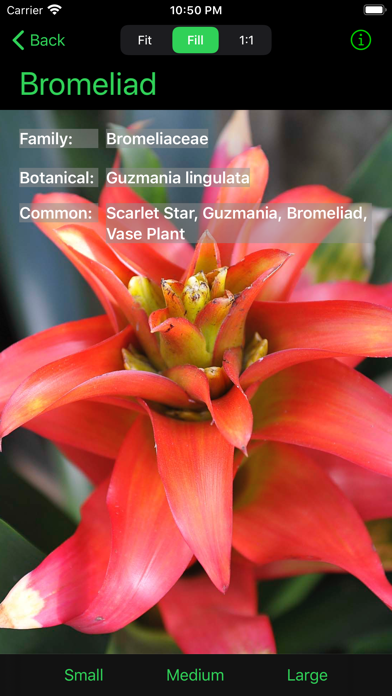 Flower Ref iPhone screenshot 4 - Reference app