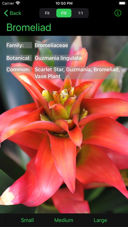 Flower Ref screenshot-3