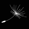 Break Free Movement icon